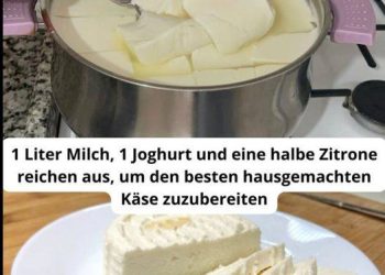 1 Liter Milch, 1 Joghurt und eine halbe Zitrone reichen aus, um den besten hausgemachten Käse zuzubereiten