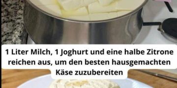 1 Liter Milch, 1 Joghurt und eine halbe Zitrone reichen aus, um den besten hausgemachten Käse zuzubereiten