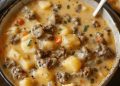 Hamburger Suppe mit 500g Hackfleisch macht lange satt, schnell zubereitet!