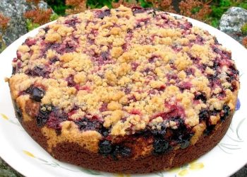 Saftiger Zwetschgenkuchen mit Zimtstreuseln und Quark Öl Teig: Der ist einfach Perfekt!