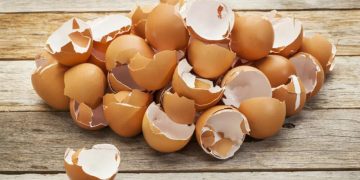 Eierschale: ein unerwarteter Helfer im Garten