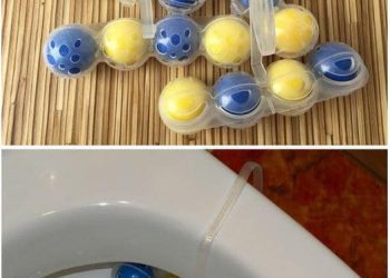 Mein ganzes Leben lang habe ich den Toilettenblock falsch benutzt: Ich habe ihn am Rand aufgehängt, aber es muss anders gemacht werden