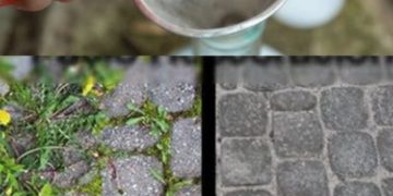 Unkultivierter Garten, nur mit dieser Zutat beseitigen Sie jegliches Unkraut und Sträucher