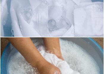 Mein Weiß ist weißer als Schnee: Ich bleiche Sachen schnell, mein Mann sagt, ich bin die Schneekönigin