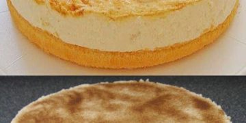 Apfel Mascarpone Torte mit 500 g Magerquark in 20 Minuten gebacken
