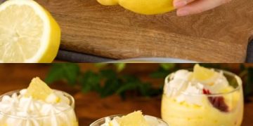 Cremige Zitronenmousse mit Himbeersauce