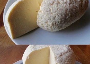 1 Liter Milch, 1 Joghurt und eine halbe Zitrone reichen aus, um den besten hausgemachten Käse zuzubereiten