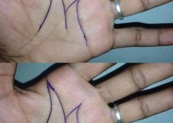 Das Geheimnis des auf Ihrer Handfläche