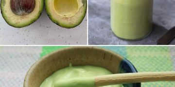 Avocado-Mayonnaise: lecker, gesund, vegetarisch und diätfreundlich