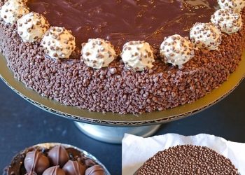 20 Minuten Ferrero Rocher Torte ohne backen