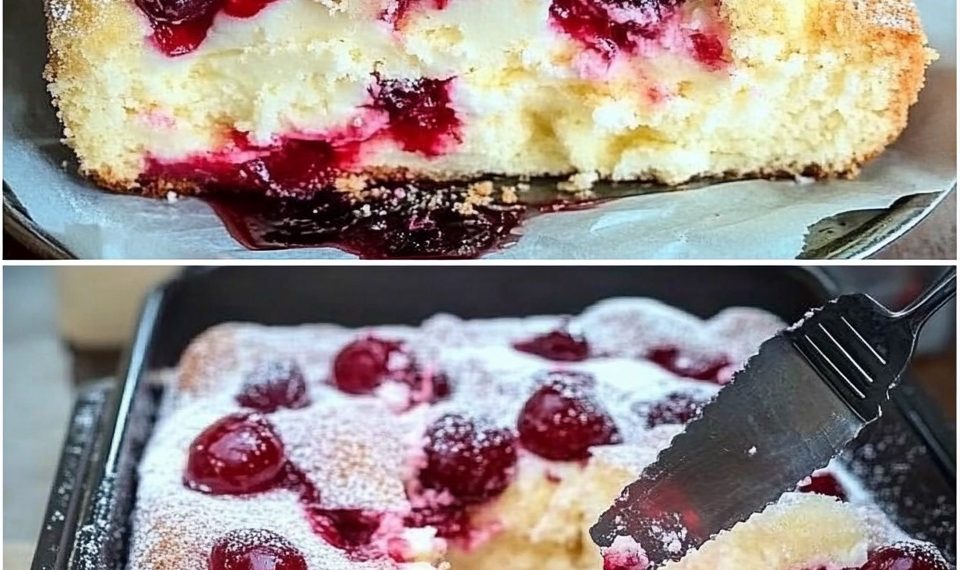 Backe ich jede Woche, Schneller Quark Kirschkuchen in 5 Minuten im Ofen