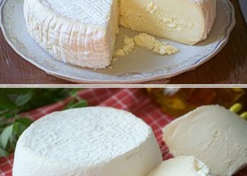 Besten Hausgemachten Käse Zuzubereiten