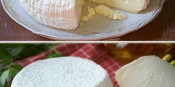 Besten Hausgemachten Käse Zuzubereiten