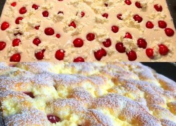 Den backe ich jeder Woche, Quark Kirschkuchen in 5 Minuten im Ofen