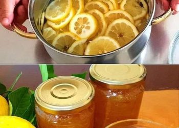 Sooo köstlich, Zitronenmarmelade mit NUR 3 Zutaten!