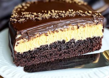 Schokotraum Kuchen mit Vanillepudding