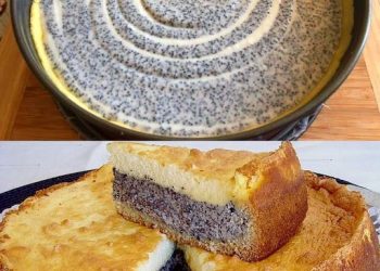 Wahnsinn wie lecker, Mohn-Schmand Kuchen mit Suchtgefahr!