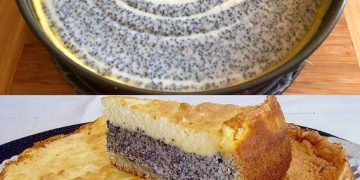 Wahnsinn wie lecker, Mohn-Schmand Kuchen mit Suchtgefahr!