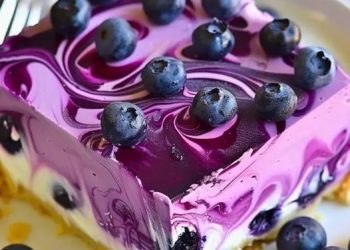 Heidelbeeren Kasekuchen ohne Backen sooowas von lecker