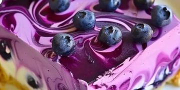 Heidelbeeren Kasekuchen ohne Backen sooowas von lecker