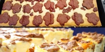Besser als alle andere, Zupfkuchen vom Blech in 20 Minuten 