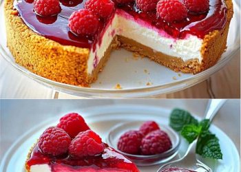 Himbeer Käsekuchen mit mehr als 100g Protein