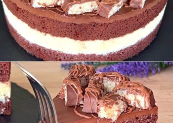 Schokoladen-Kokos-Biskuitkuchen: das Rezept für ein köstliches Dessert