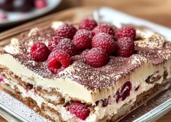 Himbeer-Spekulatius-Tiramisu – Fruchtig und Weihnachtlich!
