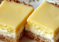 Lebkuchen-Schmand-Schnitten: Festlicher Genuss mit fruchtiger Note! 
