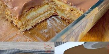 Milch Keks Kuchen Ein einfaches und cremiges Dessert