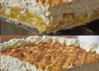 geschmackvoll – APFEL – SCHMAND – TORTE