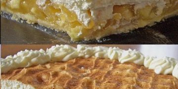 geschmackvoll – APFEL – SCHMAND – TORTE