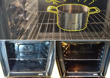 Der Trick, den Backofen „ohne Aufwand“ zu reinigen. Sogar verbranntes Fett verschwindet