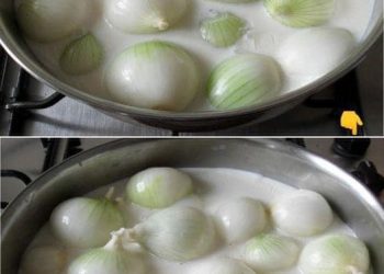 Entdecken Sie die Vorteile des Zwiebelkochens in Milch: Ein natürliches Heilmittel für Ihre Gesundheit