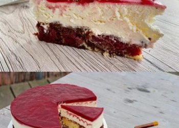 Geschmacklich erinnert mich bisschen an Donauwelle, ist aber leichter und schmeckt viel frischer