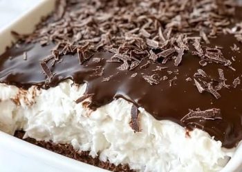 No Bake Schokoladen Kokos Kuchen