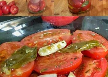 Tomaten in Öl: das Rezept für eine schnelle und immer fertige Beilage