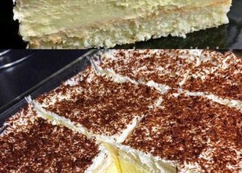 Boahh schmeckt Fantastisch, Vanillecreme Kuchen ohne Backen