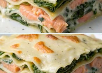 Lachs Spinat Lasagne mit Frischkäse