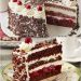 Schwarzwälder Blechkuchen – Ein Traum aus Schokolade, Kirschen und Sahne