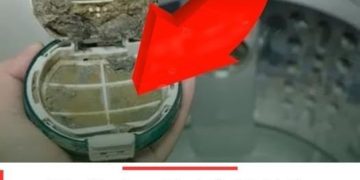 Sollte einmal im Monat geöffnet werden