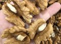 Ärzte enthüllen, dass der Verzehr von Walnüssen verursacht