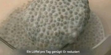 Ein einziger Löffel täglich genügt! Er senkt das schlechte Cholesterin, reinigt die Arterien, reguliert den Blutzuckerspiegel und zügelt sogar den Appetit.