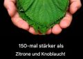 150-mal stärker als Zitrone und Knoblauch!