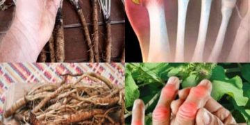 Diese Pflanze zerstört Krebszellen! Sie ist 100-mal wirksamer als eine Chemotherapie.