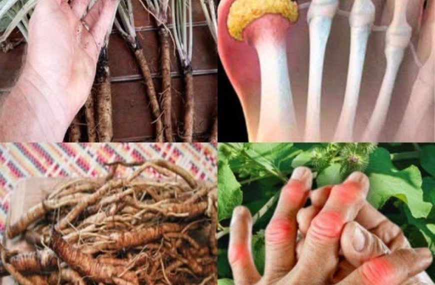 Diese Pflanze zerstört Krebszellen! Sie ist 100-mal wirksamer als eine Chemotherapie.