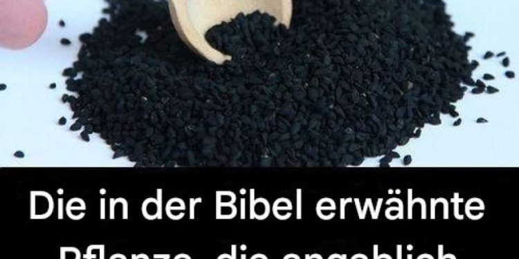 Die Heilpflanze aus der Bibel: Ein zeitloses Heilmittel