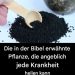 Die Heilpflanze aus der Bibel: Ein zeitloses Heilmittel